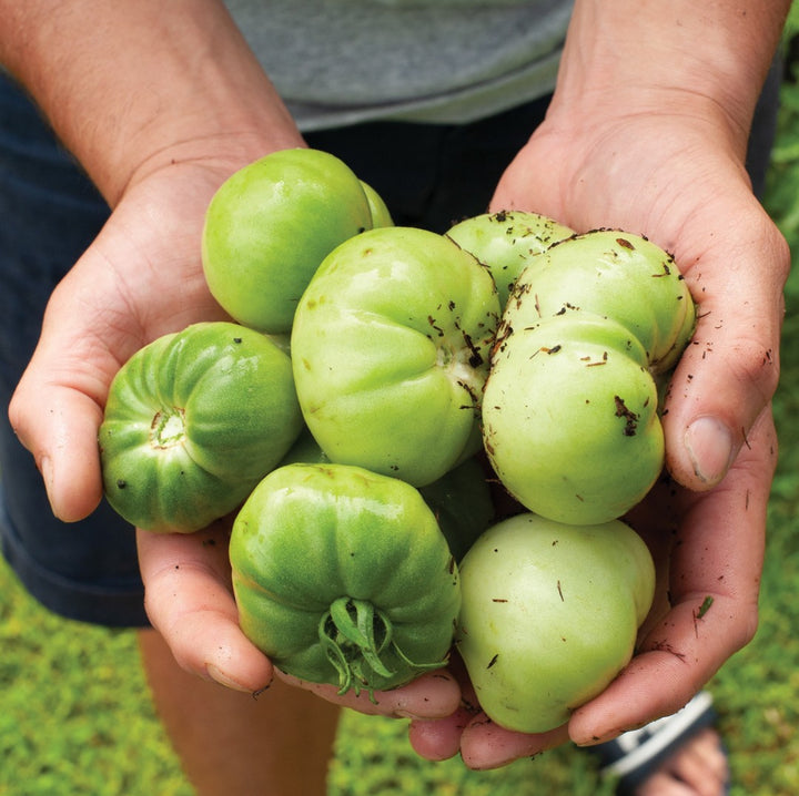 SMALL BATCH ARTISAN AWARD WINNING AUSTRALIAN MADE RELISH